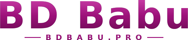 BD Babu logo